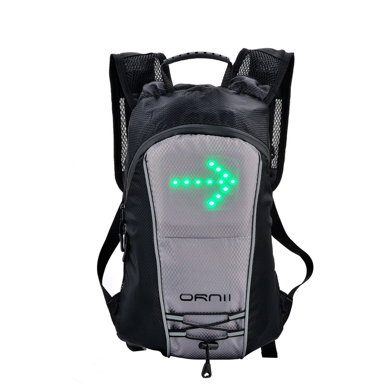 LED signage backpack