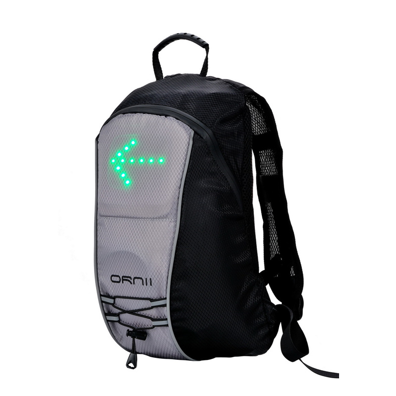 LED signage backpack