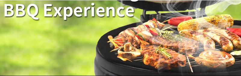 Electric BBQ grill