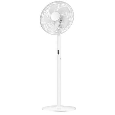 Stand Fan