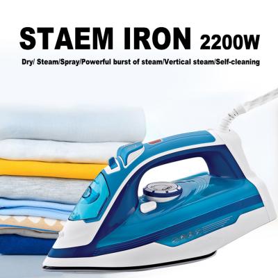 Multifunction Electric Steam Iron and Portable Steamer